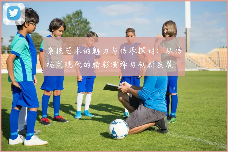 杂技艺术的魅力与传承探讨：从传统到现代的精彩演绎与创新发展
